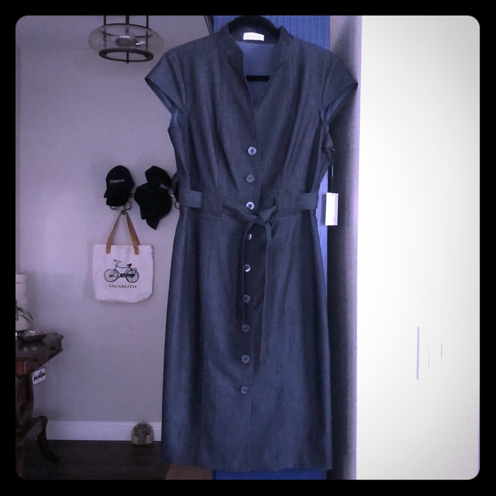 NWT Calvin Klein Dress